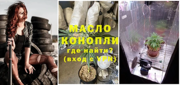 винт Абаза